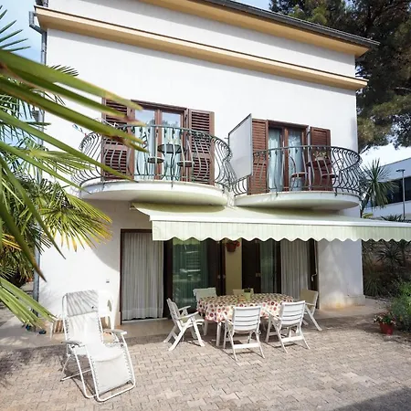 Apartman Number 9 Apartment